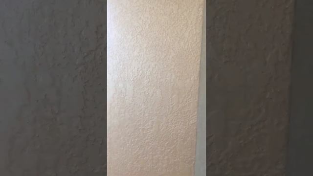 Декоративная штукатурка antik decor смотреть онлайн