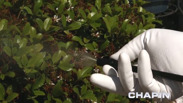 Chapin 20000 1-Gallon Lawn and Garden Sprayer смотреть онлайн