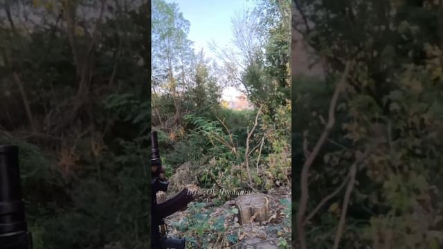 Видеопослание N279 смотреть онлайн