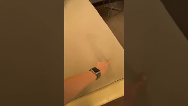 Обзор номера в отеле США за 123$ в сутки !Отель в Америке смотреть онлайн