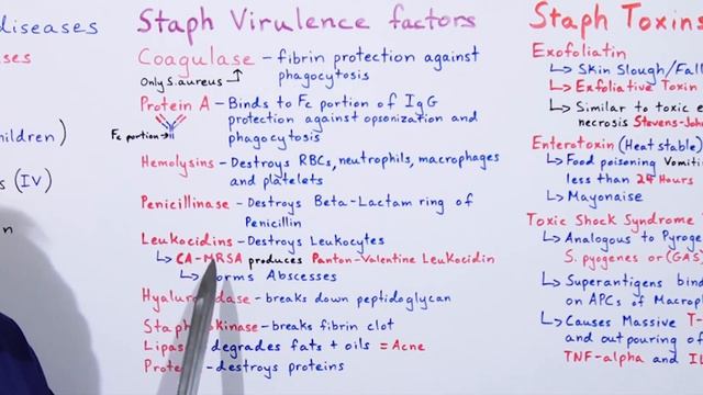 Staphylococcus Part 2 of 5 смотреть онлайн