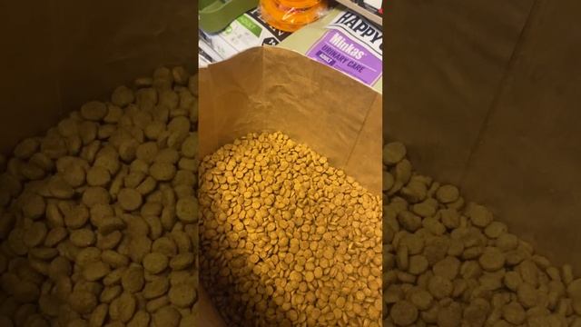 Royal Canin Sterilised 37 Kisir Kedi Mamasi Paket Acilisi, Sahte Mamalara Dikkat Ediniz..