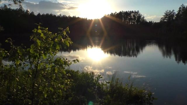 Лесное озеро. Закат. Релакс пауза #relaxing #relax #relaxpause #природа #лес #озеро смотреть онлайн