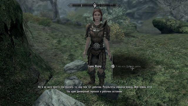 Новый орден, стража рассвета, за стражу, Скайрим смотреть онлайн