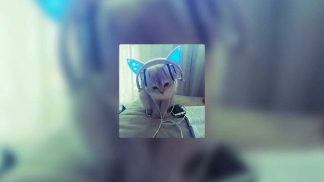 ПХ крисмас клаб – пошлая молли (минус)💋