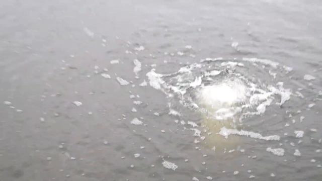 Вот и зима Пруд декабрь 2023 смотреть онлайн