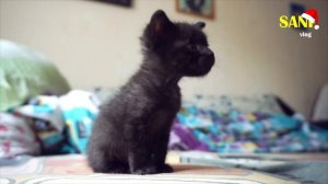 30.000 ПОДПИСЧИКОВ | Ответы на вопросы / SANI vlog