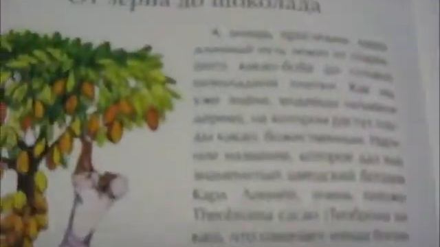 Листаем книгу "Шоколадная история" смотреть онлайн