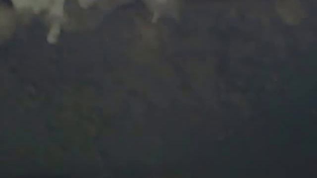 Видео0003 смотреть онлайн