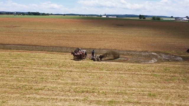 Washington DC?...No An Amish Farmer in Lancaster County Spreading Manure With A Drag Line System. смотреть онлайн