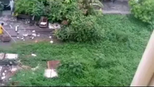 ОТДАЙ САЛО! ПРОДОЛЖЕНИЕ! смотреть онлайн