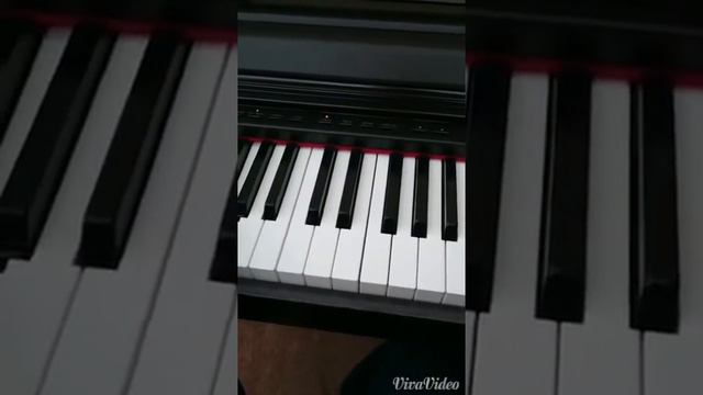 Celviano AP 21 Tester