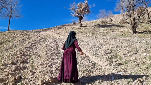 The Perilous Journey Of A Nomadic Woman: Parvaneh And Shayan, A Story Of Hope And Survival