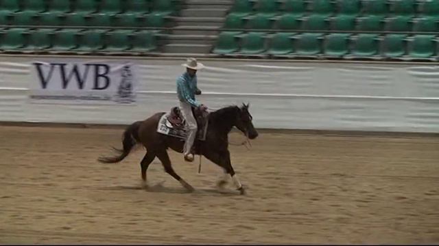 Knight of Roses смотреть онлайн