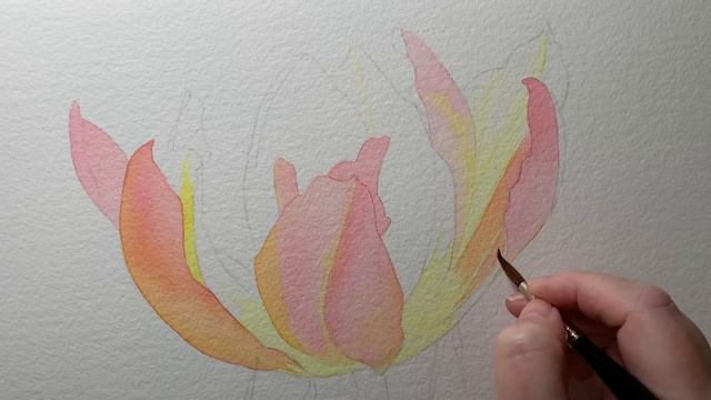 Watercolor Glazing Techniques: Watercolor Tulip ?
