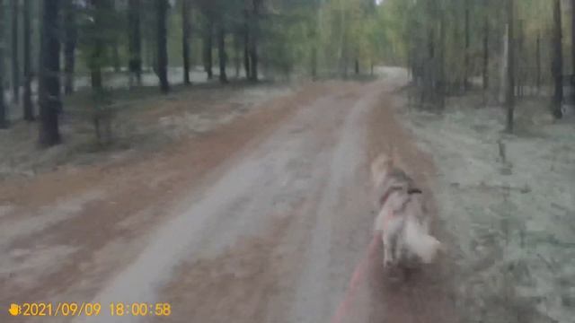 09.09.21 Диса скутер соло 1,9 км смотреть онлайн
