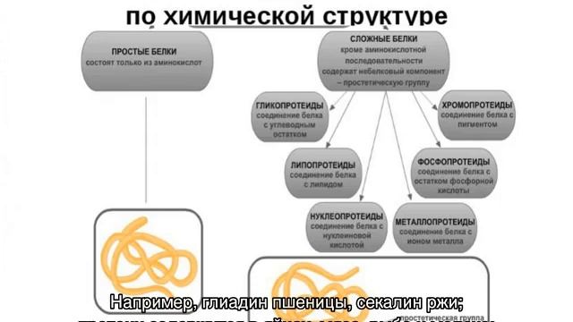 Классификация белков смотреть онлайн
