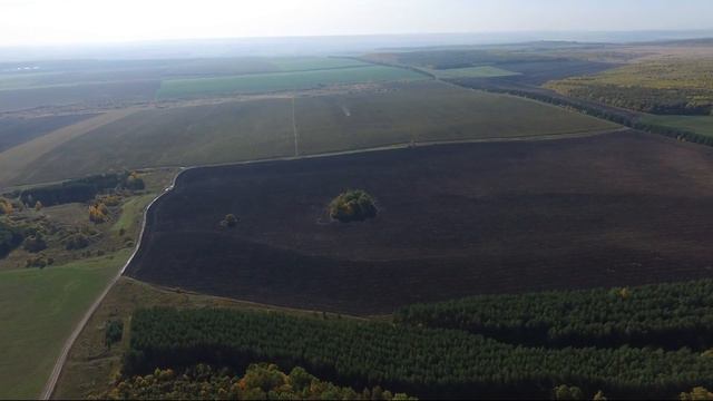 Десикация поля подсолнечника. 9 октября 2017 года смотреть онлайн