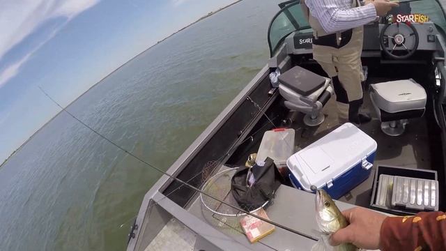 МАНЫЧ.ЖАРА,КЛЁВ СУДАКА. Веселовское водохранилище 2020. смотреть онлайн