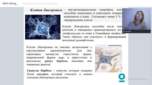 Вебинар "Морфология и физиология эпидермиса", лектор Ирина Капустяна смотреть онлайн