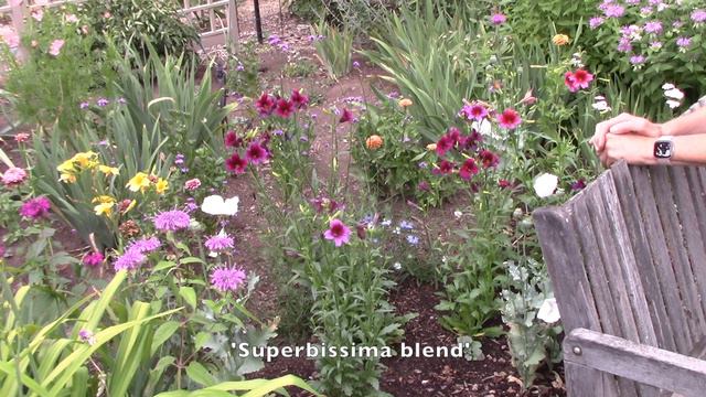 Flower Garden Tour: Everyone Can Grow A Garden (2023) #28