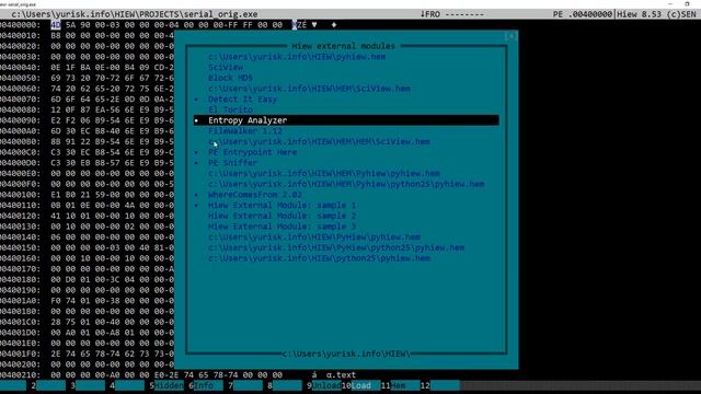HIEW tutorial hexadecimal editor part 5 using HEM modules HD смотреть онлайн