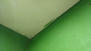 Как отмыть натяжной потолок!!! Очень просто и легко, акриловой краски как и не было!!!