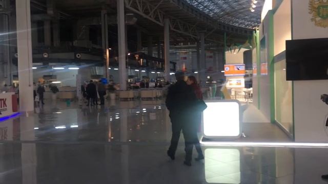 VLOG: Поездка в Сочи: где остановиться? что смотреть? смотреть онлайн