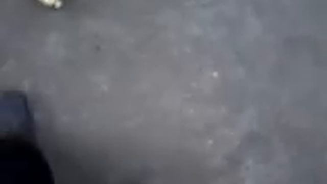 Дина и бабушка смотреть онлайн