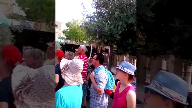 Поездка в Назарет,Галилею_5 смотреть онлайн