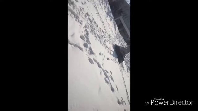 Влог по нашему парку!!!! смотреть онлайн
