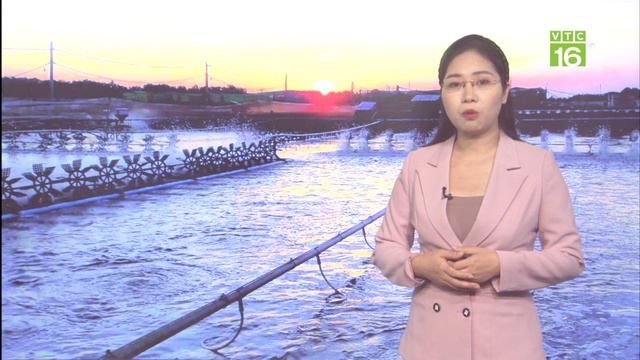 Thời tiết ngày mai 26/02: Bắc Bộ nồm rét, Nam Bộ nắng 37 độ | VTC16 смотреть онлайн