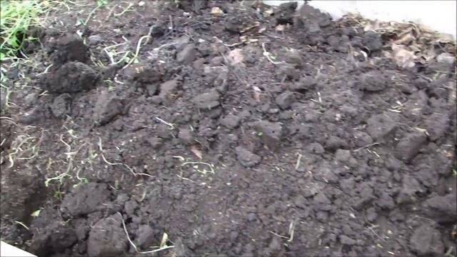 Новейшая грядка для супер раннего урожая огурцов! смотреть онлайн