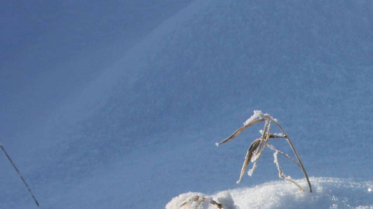 Иеромонах Роман. «Пробил мой час. Пора приспела...» смотреть онлайн