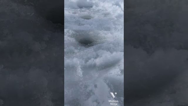 зимняя рыбалка смотреть онлайн