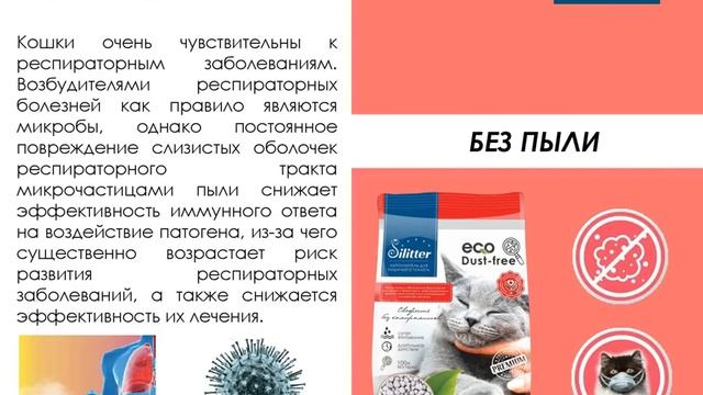 Наполнители для кошек . Лучшие наполнители для туалета. Кошачий туалет . Новые наполнители Silitter смотреть онлайн