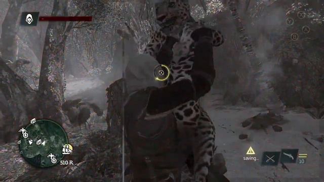 raining Jaguar Assassin's Creed black flag #assassinscreed #nintendoswitch #assassinscreedblackflag смотреть онлайн