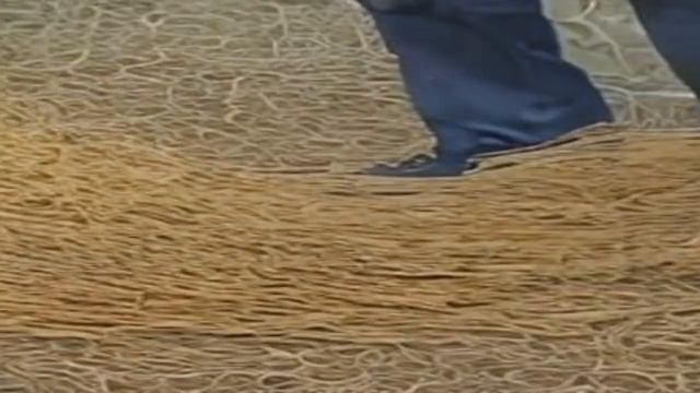 [AI] bill gates destroying spaghetti in the forest смотреть онлайн