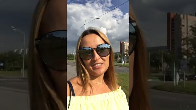 Стрижка животных смотреть онлайн