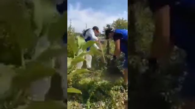 Чингирлауский район