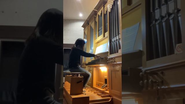 O Filli (variations) - from Twelve Choral-Preludes on Gregorian Chant Themes (Jeanne Demessieux) смотреть онлайн