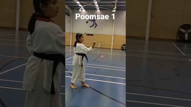 POOMSAE - 1 смотреть онлайн