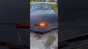 ПОДПИШИСЬ НА ТГ КАНАЛ ССЫЛКА В ОПИСАНИИ