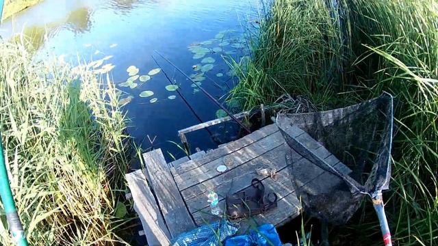 Ловля Крупного Карася и Леща на Поплавок смотреть онлайн