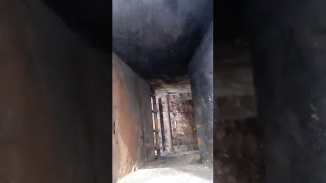 Зота карбон 15. Эксплуатация 3 года смотреть онлайн