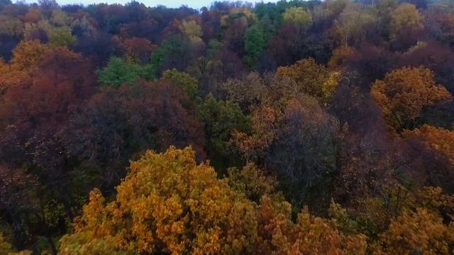 "Палитра октября" г. Таруса [DJI Phantom, OSMO] смотреть онлайн
