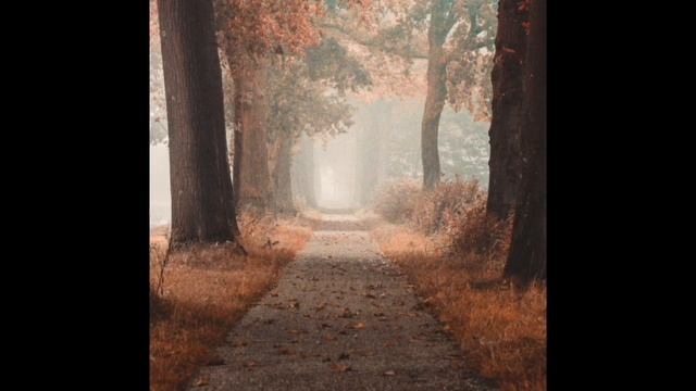 Осень. Seimur Mitroshkin. (авторские стихи) смотреть онлайн
