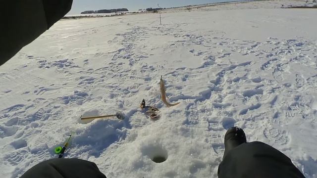 Ловля окуня смотреть онлайн