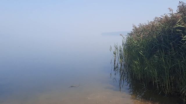 Озеро Святое, Шатура, Утро 1 смотреть онлайн