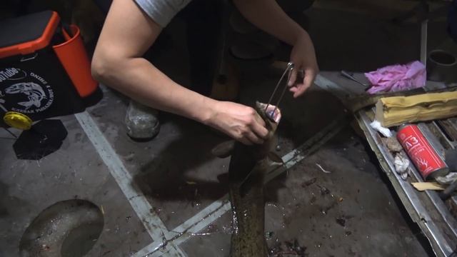 СКОЛЬКО РЫБЫ ТАМ ГДЕ ДАВНО НЕ РЫБАЧИЛИ???!!! смотреть онлайн